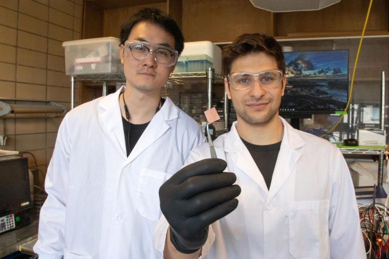 A new catalyst for converting captured CO2 gas into valuable products