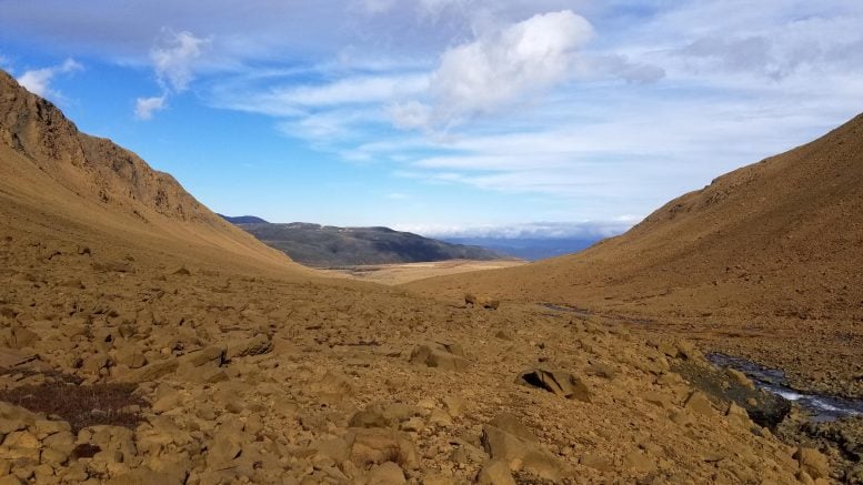 The Squares of Newfoundland