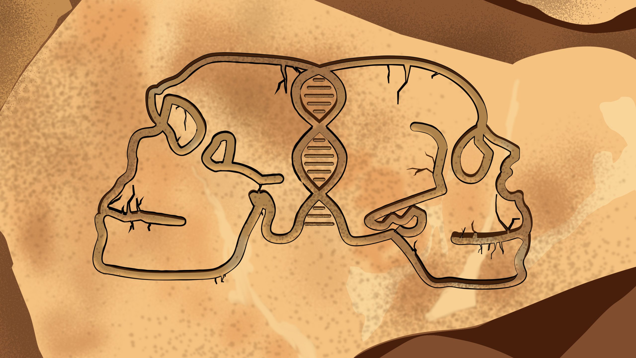 Read more about the article Rewriting hominin history: New discoveries reveal links between ancient humans and Neanderthals