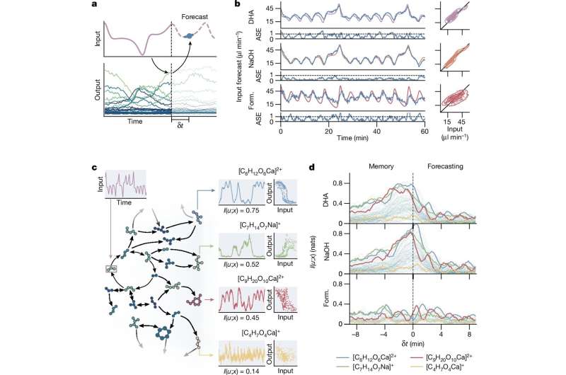 Scientists demonstrate calculation of chemical reservoirs using the formose reaction