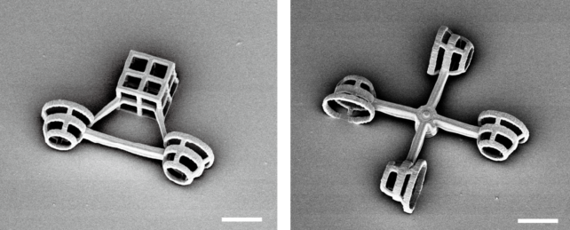 Microstructures for algae