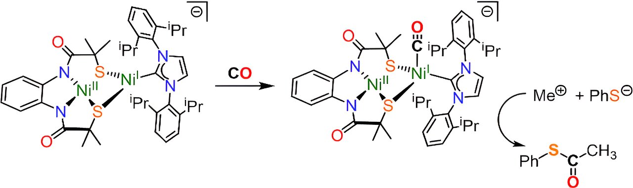 Read more about the article Scientists reproduce enzyme that captures carbon