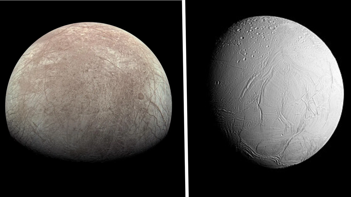 You are currently viewing Signs of life may survive on the solar system’s moons Enceladus and Europa