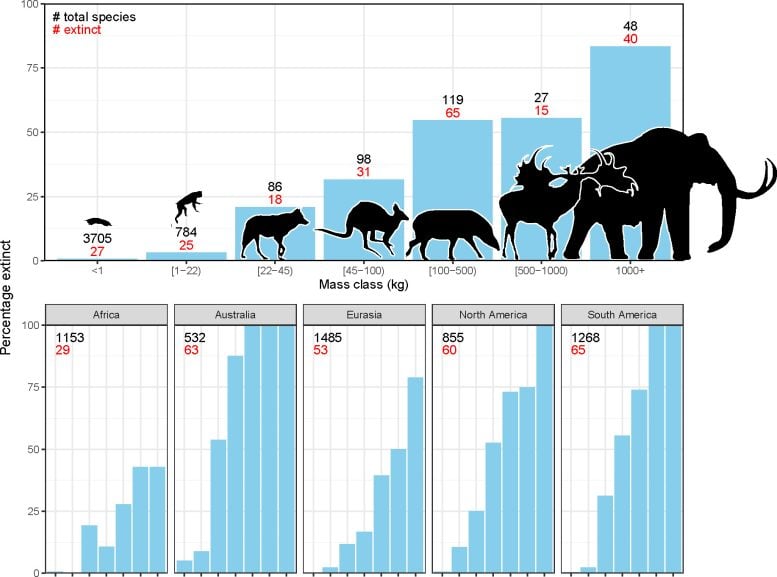 Chart of extinct mammals