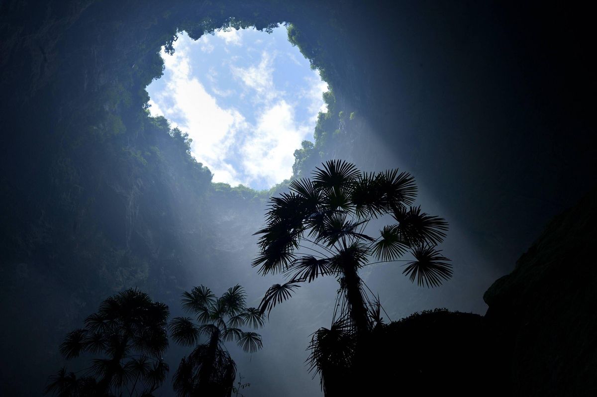 You are currently viewing Massive sinkholes in China contain “paradise” forests of plants adapted to harsh life underground