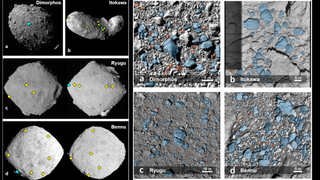 Comparison of rocks of Dimorphos, Itokawa, Ryugu and Bennu