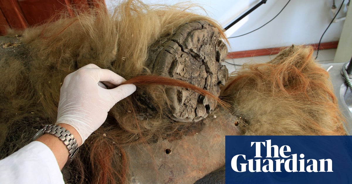 Read more about the article A mullet mammoth named Chris Waddle is helping scientists crack the creatures’ genetic code