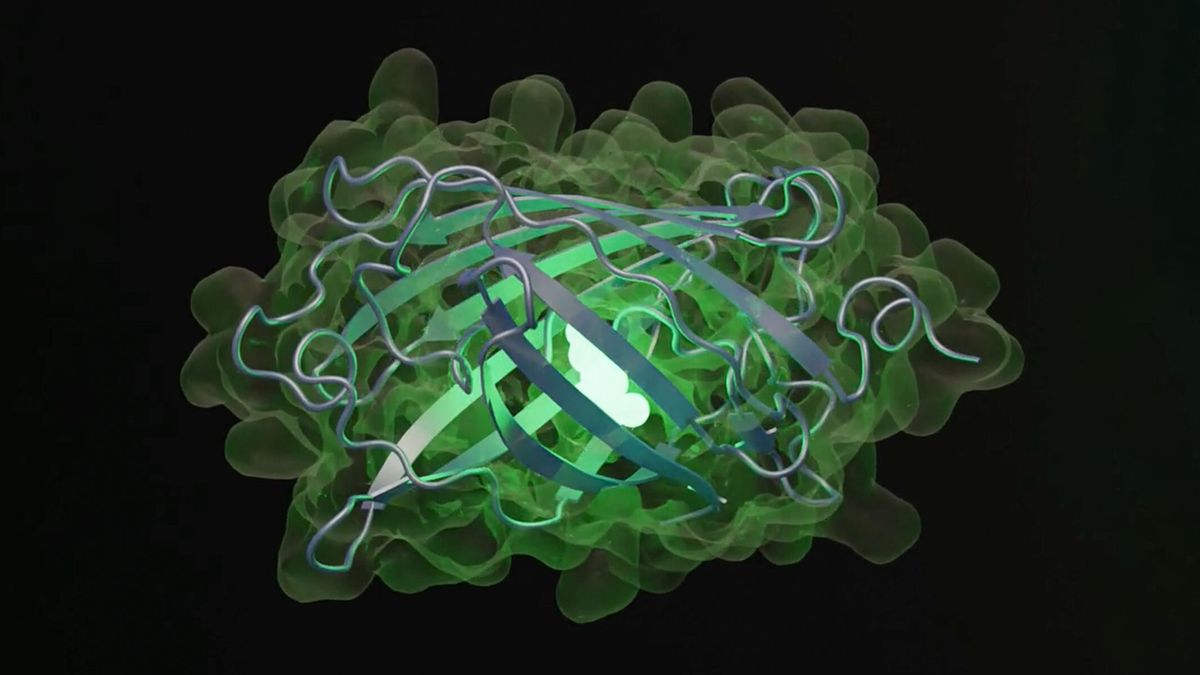 You are currently viewing ‘ChatGPT moment for biology’: Ex-Meta scientists develop AI model that creates proteins ‘not found in nature’