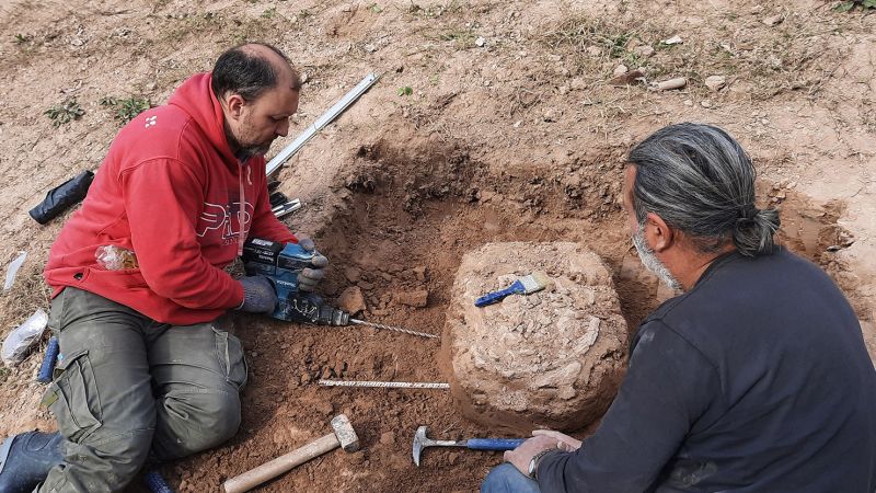 You are currently viewing Giant armadillo fossils reveal humans were in South America a surprisingly long time ago |  CNN