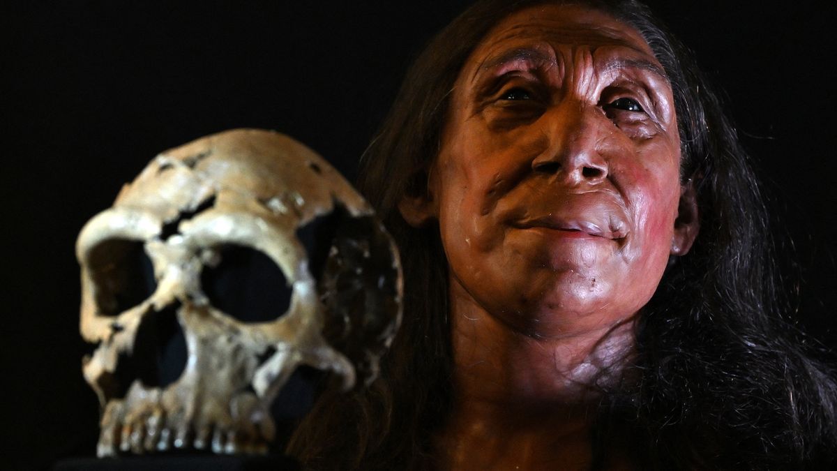 Read more about the article Neanderthals didn’t actually go extinct, but rather were swallowed up by the modern human population, DNA study suggests