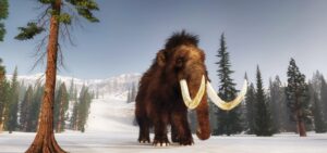 Read more about the article New DNA evidence challenges woolly mammoth extinction theory