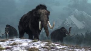 Read more about the article Scientists say a strange event killed the woolly mammoths