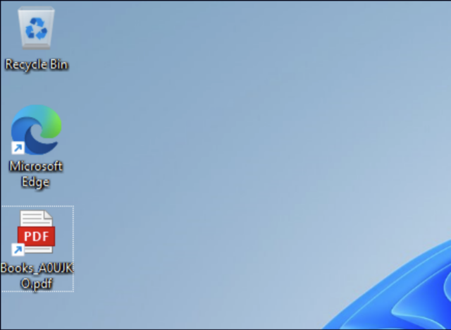 Screenshot showing a file named Books_A0UJKO.pdf.  The file icon indicates that it is a PDF.